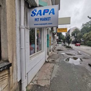 Sapa-1 Sapa-1
